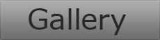 realestate listings